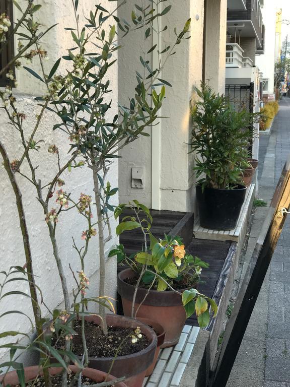 Saga International Guesthouse Hagakure Bagian luar foto